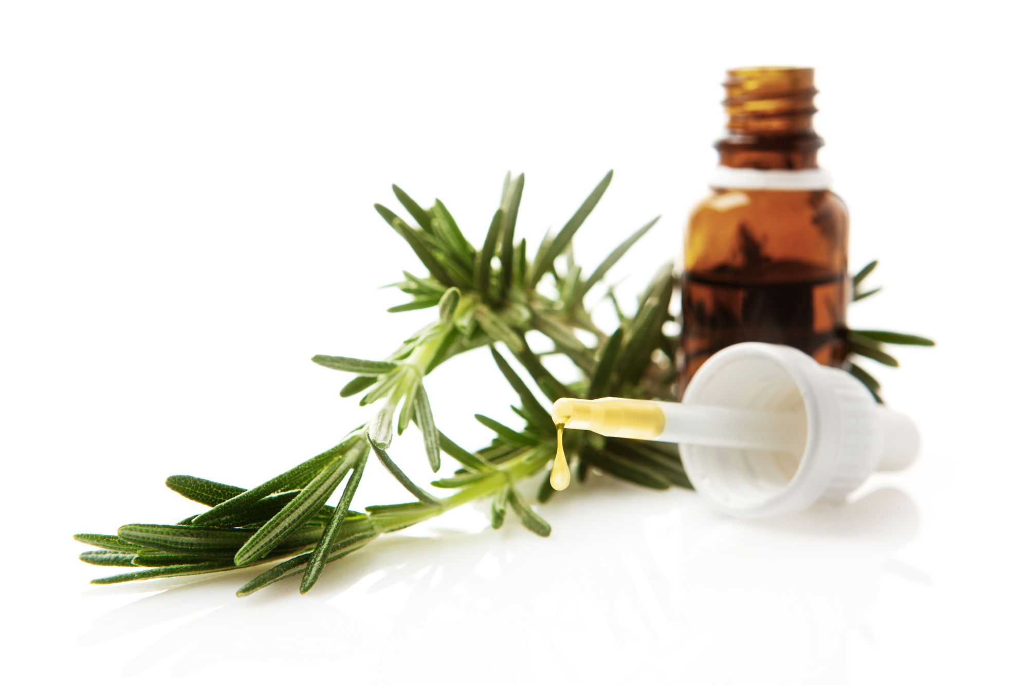 Rosemary Oil What It Is And Why Its Trending On Tiktok Sexual Health Usa 4759